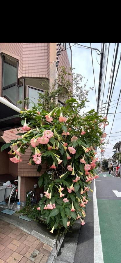 Ferienwohnung 東洋の家-26 Square Meter Treadmi Garden House Präfektur Tokio Exterior foto