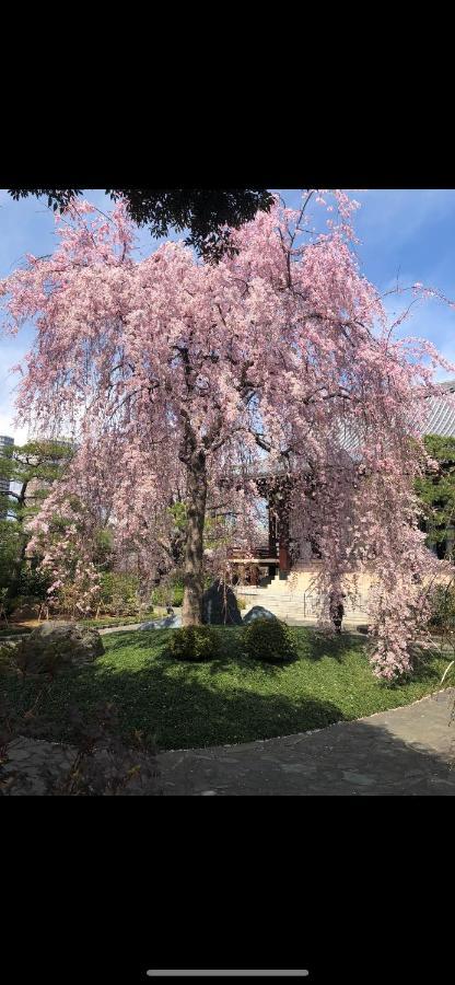 Ferienwohnung 東洋の家-26 Square Meter Treadmi Garden House Präfektur Tokio Exterior foto