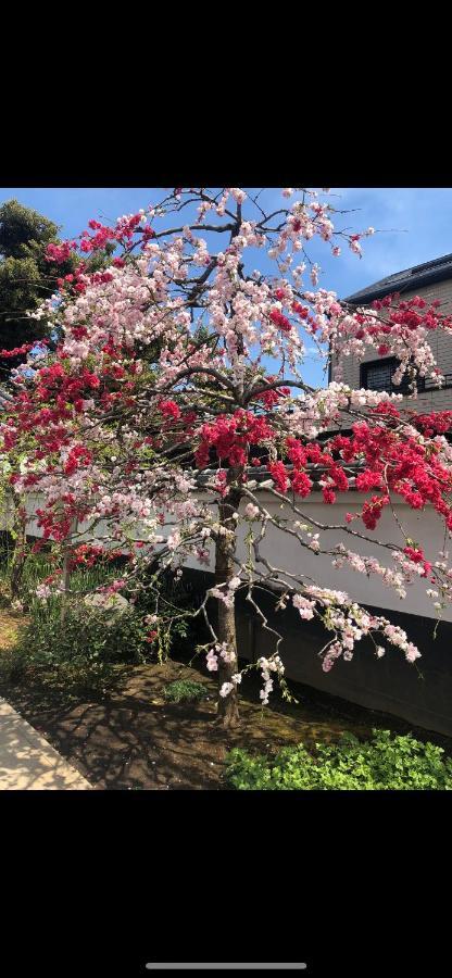 Ferienwohnung 東洋の家-26 Square Meter Treadmi Garden House Präfektur Tokio Exterior foto